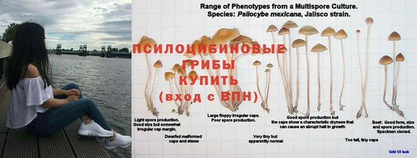 меф Абдулино