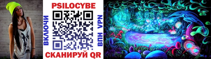 где купить наркоту Алдан Галлюциногенные грибы MAGIC MUSHROOMS